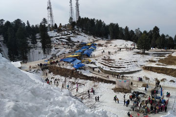 Shimla City Tour & Trip of Kufri