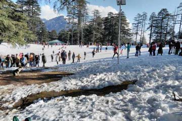 Taxi Service in Patnitop