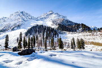 Sonmarg Taxi